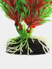 Растение для аквариума Plant 001 Перистолистник красный