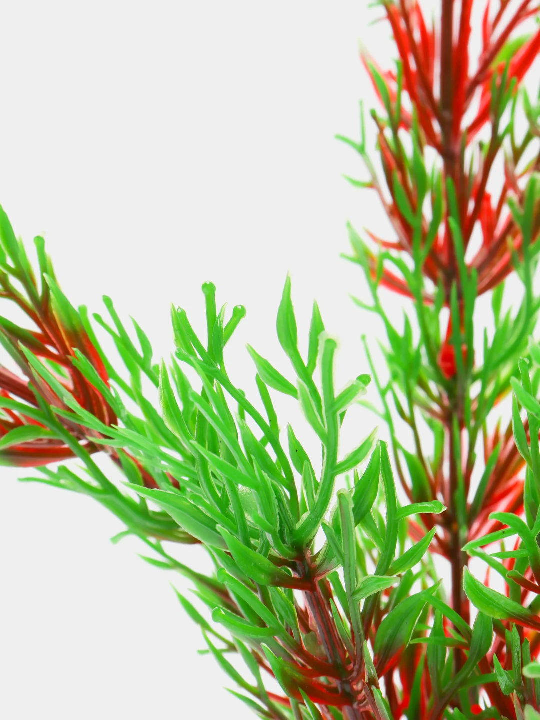 Растение для аквариума Plant 001 Перистолистник красный