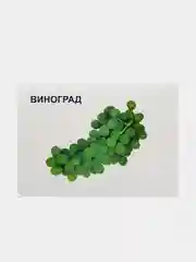 Аметистовый демонстрационный материал