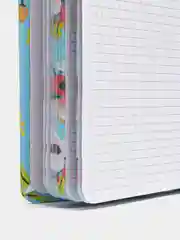 Ледяной ежедневник недатированный / Блокнот