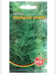 Семена Укроп