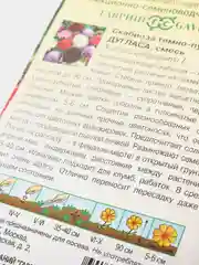 Семена цветы "Скабиоза Дугласа"