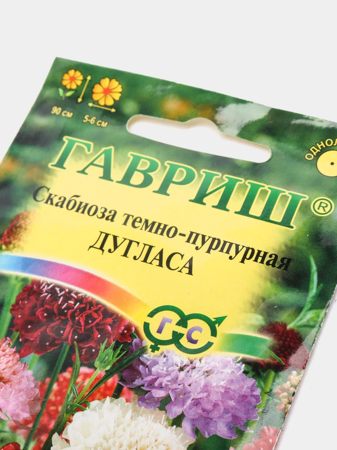 Семена цветы "Скабиоза Дугласа"