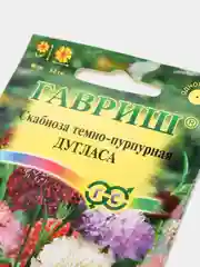 Семена цветы "Скабиоза Дугласа"