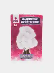 Белый набор для опытов выращивания кристаллов