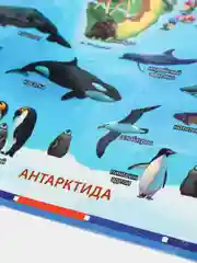 Интерактивная карта мира для детей "Животный и растительный мир Земли", ламинированная