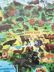 Интерактивная карта мира для детей "Животный и растительный мир Земли", ламинированная