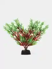 Растение для аквариума Plant 001 Перистолистник красный