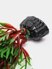 Растение для аквариума Plant 001 Перистолистник красный