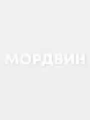 Наклейка на авто "Мордвин"