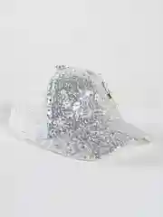 Серебряный кепка