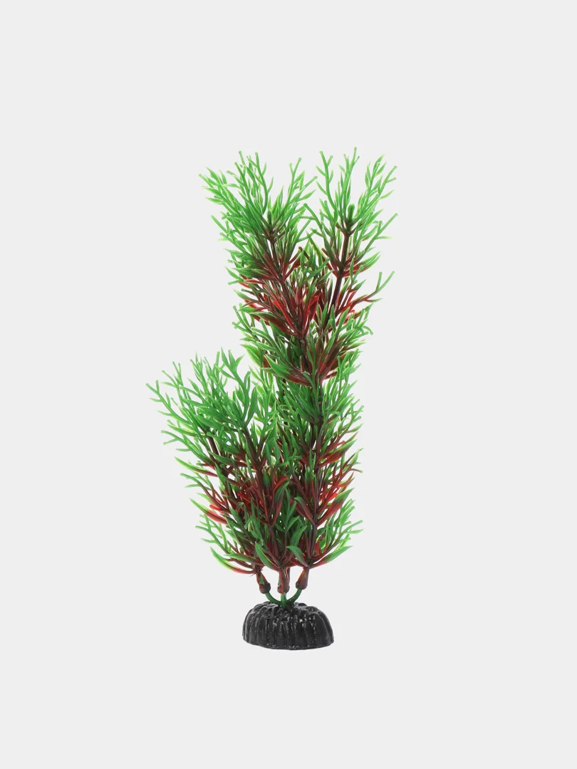 Растение для аквариума Plant 001 Перистолистник красный