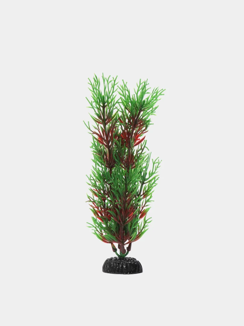 Растение для аквариума Plant 001 Перистолистник красный