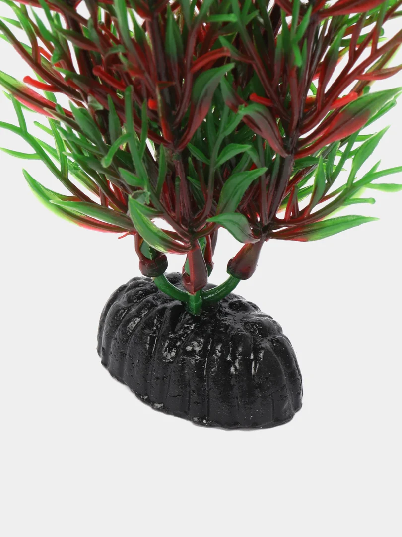 Растение для аквариума Plant 001 Перистолистник красный