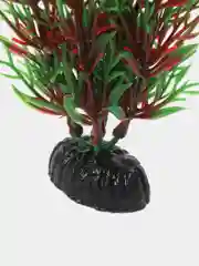 Растение для аквариума Plant 001 Перистолистник красный