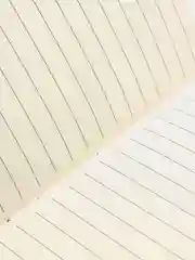 Золотой наруто блокнот черный матовый кожанный