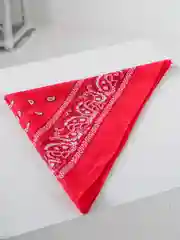 Фуксия бандана классическая с принтом