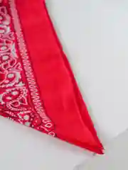 Фуксия бандана классическая с принтом