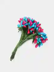 Морской тычинки гладкие двухцветные. 12 штук