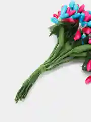 Морской тычинки гладкие двухцветные. 12 штук