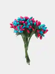 Морской тычинки гладкие двухцветные. 12 штук