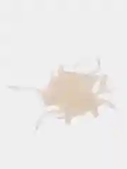 Белый силиконовые черви