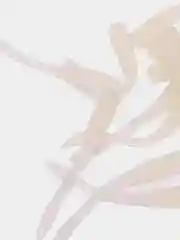 Белый силиконовые черви