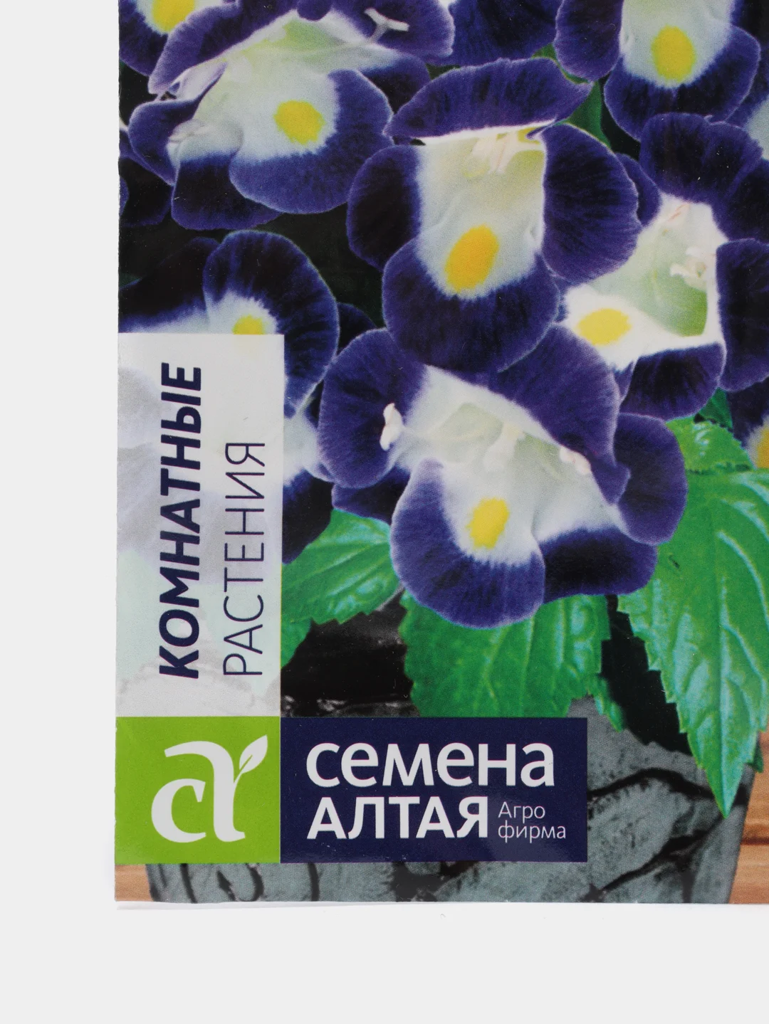 Семена Торения "Каваи блю вайт"