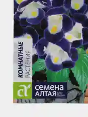 Семена Торения "Каваи блю вайт"