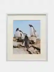 Картина для интерьера ВСТРЕЧА/картина для дома/на стену/для офиса/пингвины