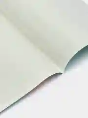 Бирюзовый обложка для паспорта