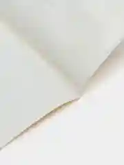 Лайм обложка для паспорта