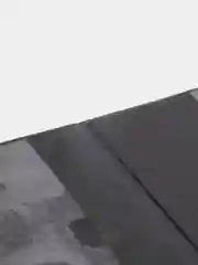 Серебряный обложка на паспорт, ПВХ