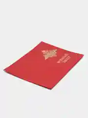 Красный обложка для военного билета, 4 цвета