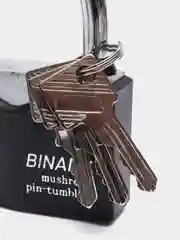Черный замок навесной влагозащищенный с защитой от отмычек Binary, 70 мм