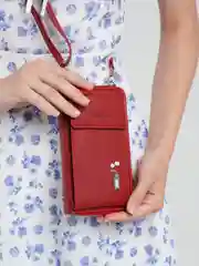 Красный вертикальная сумка-клатч