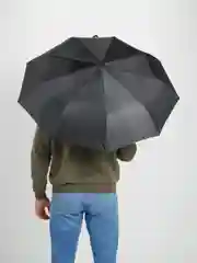 Черный зонт мужской, автоматический