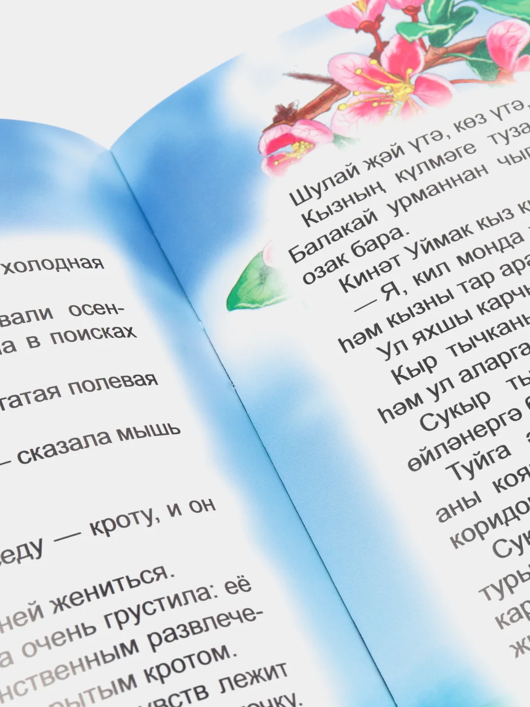 Бирюзовый сказки на татарском "Русские народные сказки", 4 вида