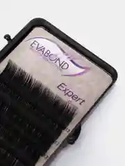 Ресницы Evabond Expert, однолинейные, черные, 6 линий