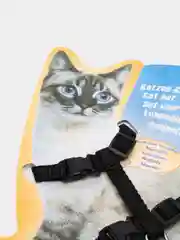Черный шлейка для кошек с поводком 9 цветов