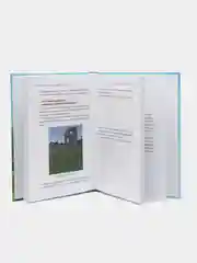 Python. Великое программирование в Minecraft, Корягин Андрей, Корягина Алиса