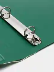 Папка на 4 кольцах, ширина 25 мм, BRAUBERG EXTRA, до 170 листов, зеленая, 0,7 мм, 270546