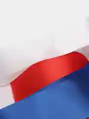 Ленты свадебные на автомобиль, триколор