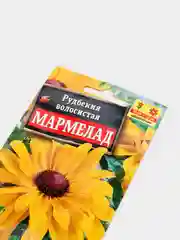 Семена цветы "Рудбекия Мармелад"