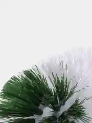 Ерш для унитаза, без подставки, пластик, бело-зеленый, ЛЮБАША