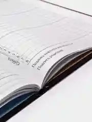 Фуксия дневник школьный для 1-11 классов, твёрдая обложка