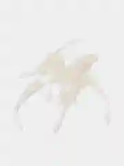 Белый силиконовые черви