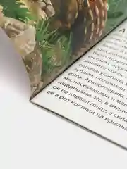 Красный книжка для детей "Узнаём про всё вокруг"