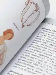 Моделирование и пошив нижнего белья, одежды для дома, пляжа и спорта, Лидия Мудрагель