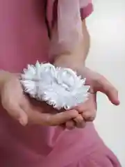 Белый бантики для волос на резинке